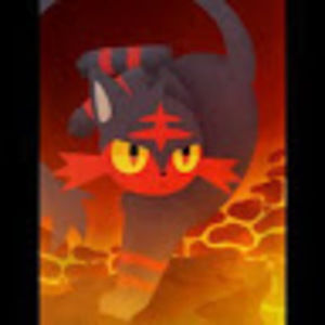 Meet your Posher, Fire type